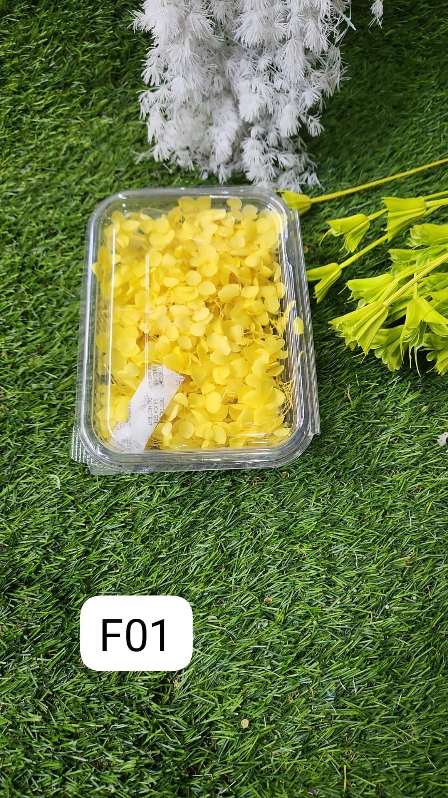 WhatsApp Image 2024-10-19 at 6.14.52 PM HYDRA FLOWERS YELLOW SNE Min. Qty. - 12 PCS. - Image 1