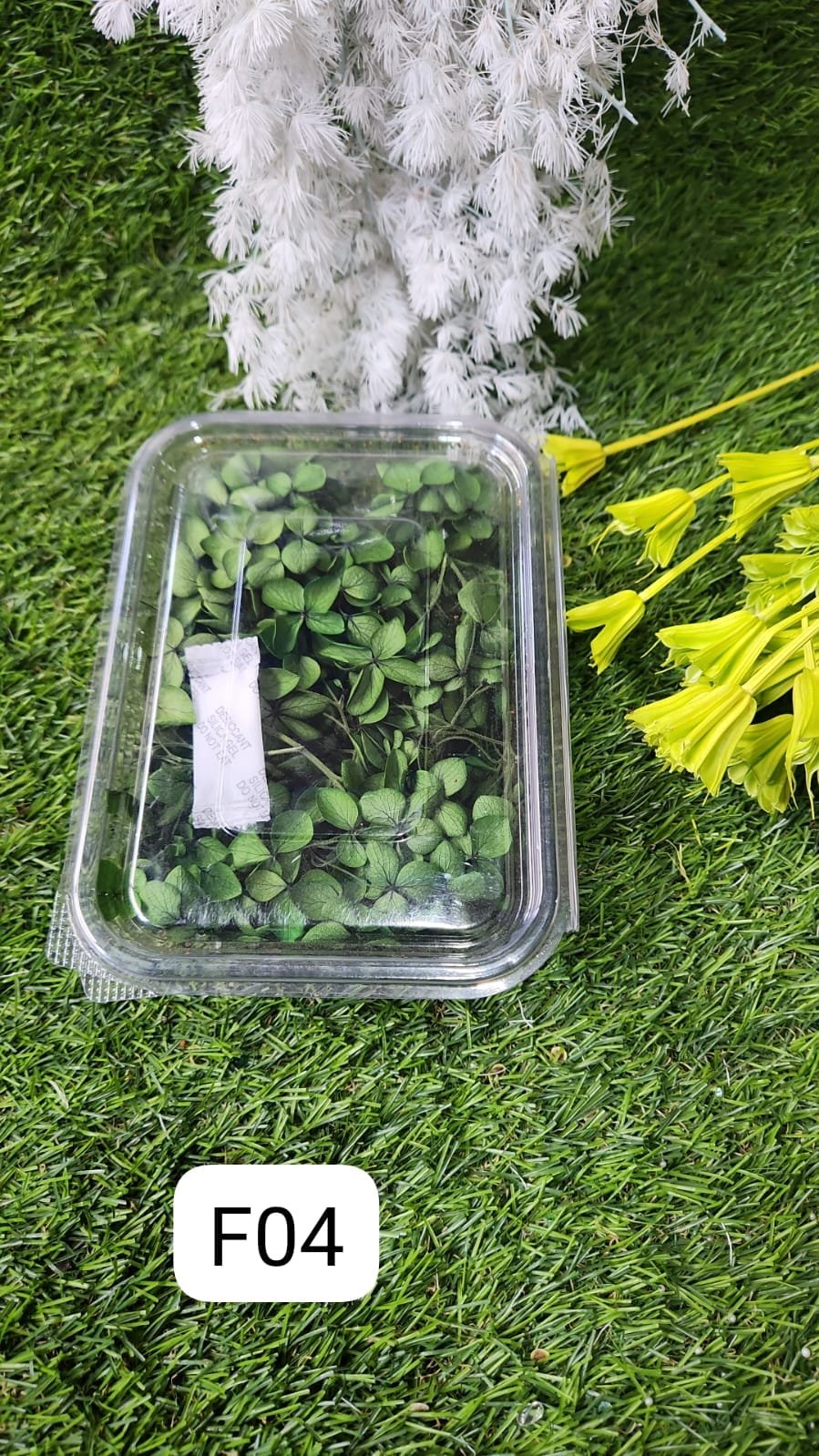 WhatsApp Image 2024-10-19 at 6.14.54 PM (1) HYDRA FLOWERS YELLOW GREEN SNE Min. Qty. - 12 PCS - Image 1