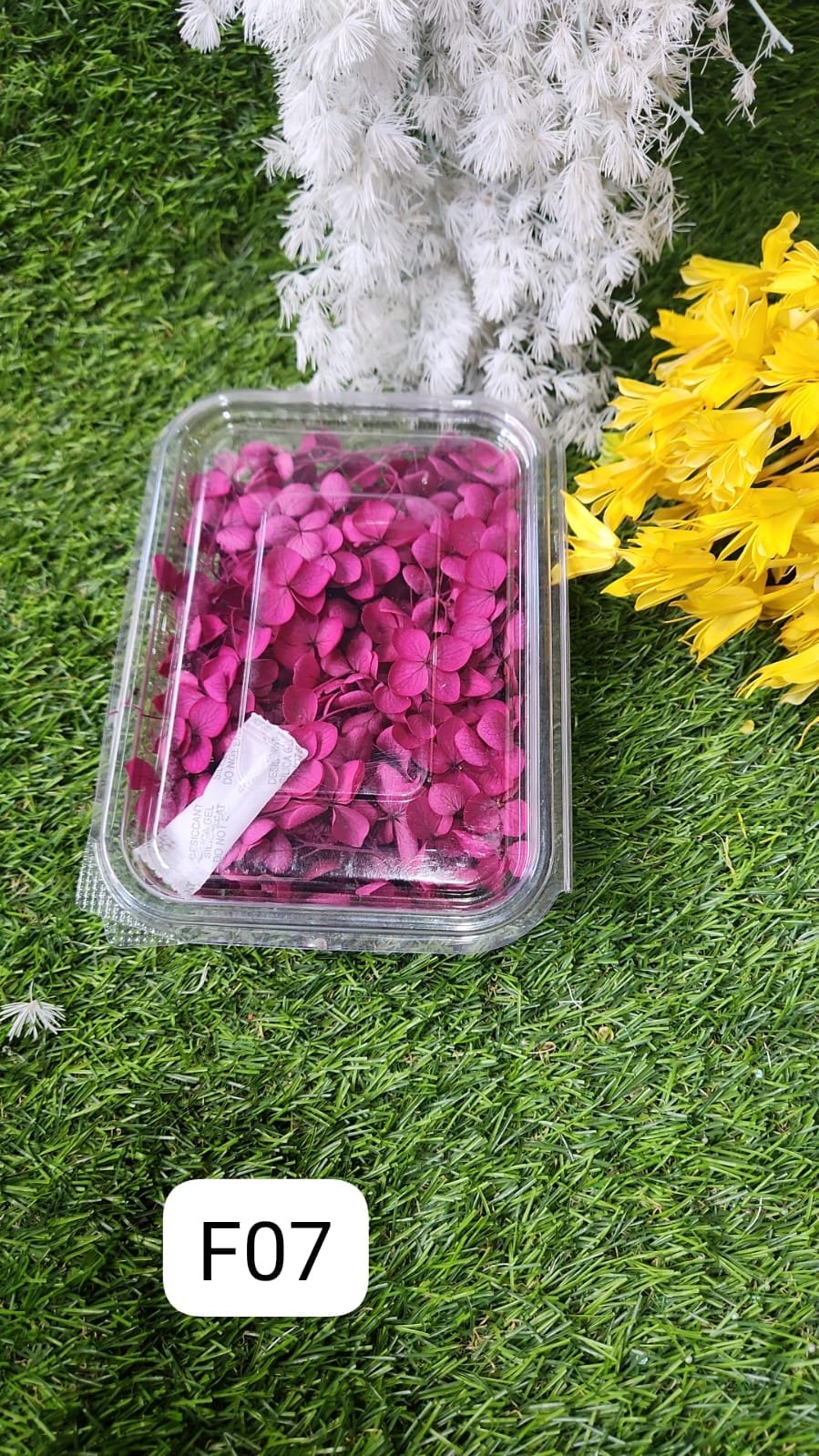 WhatsApp Image 2024-10-19 at 6.14.54 PM (2) HYDRA FLOWERS PINK SNE Min. Qty. - 12 PCS. - Image 1