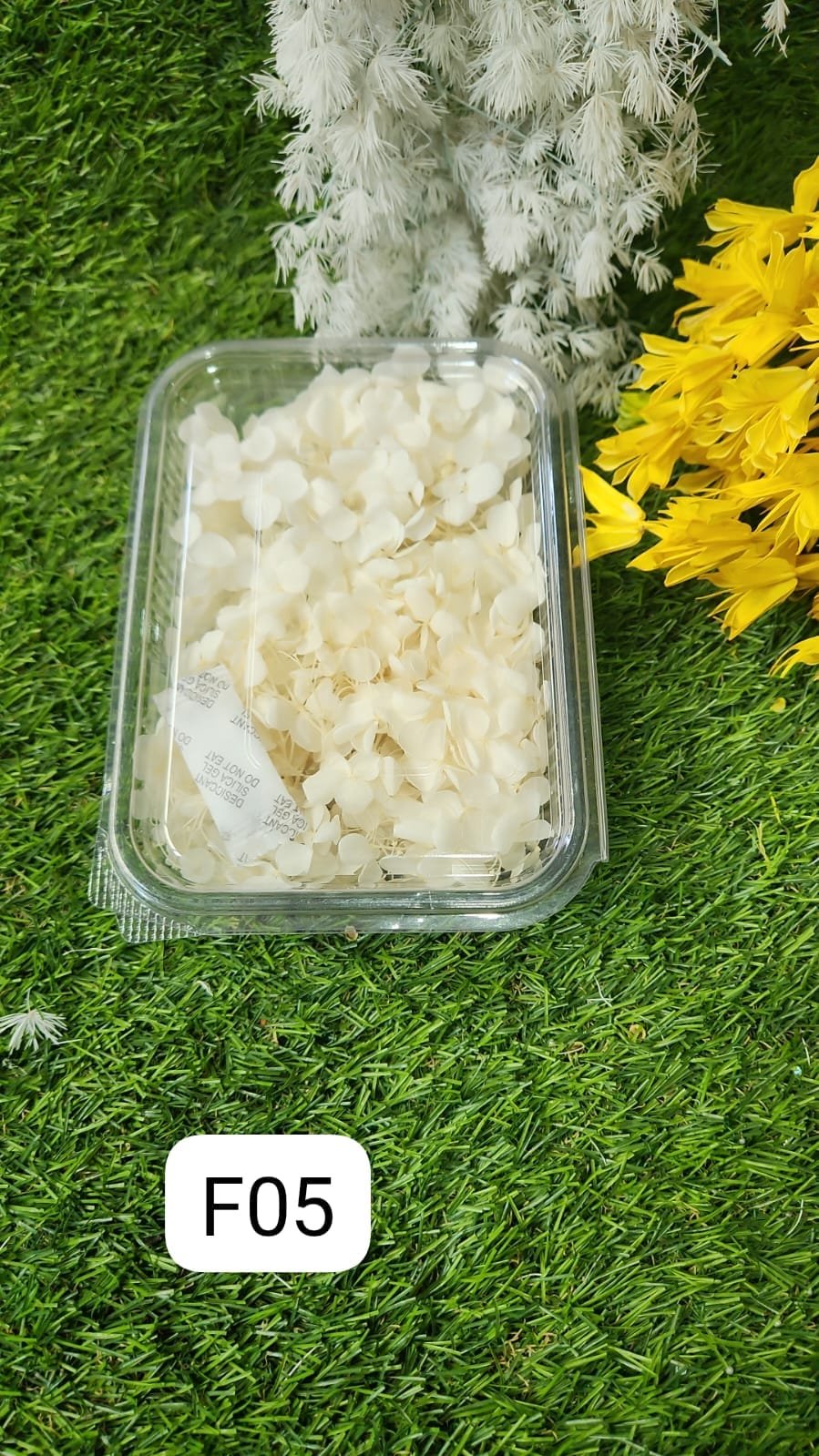 WhatsApp Image 2024-10-19 at 6.14.54 PM HYDRA FLOWERS WHITE SNE Min. Qty. - 12 PCS. - Image 1