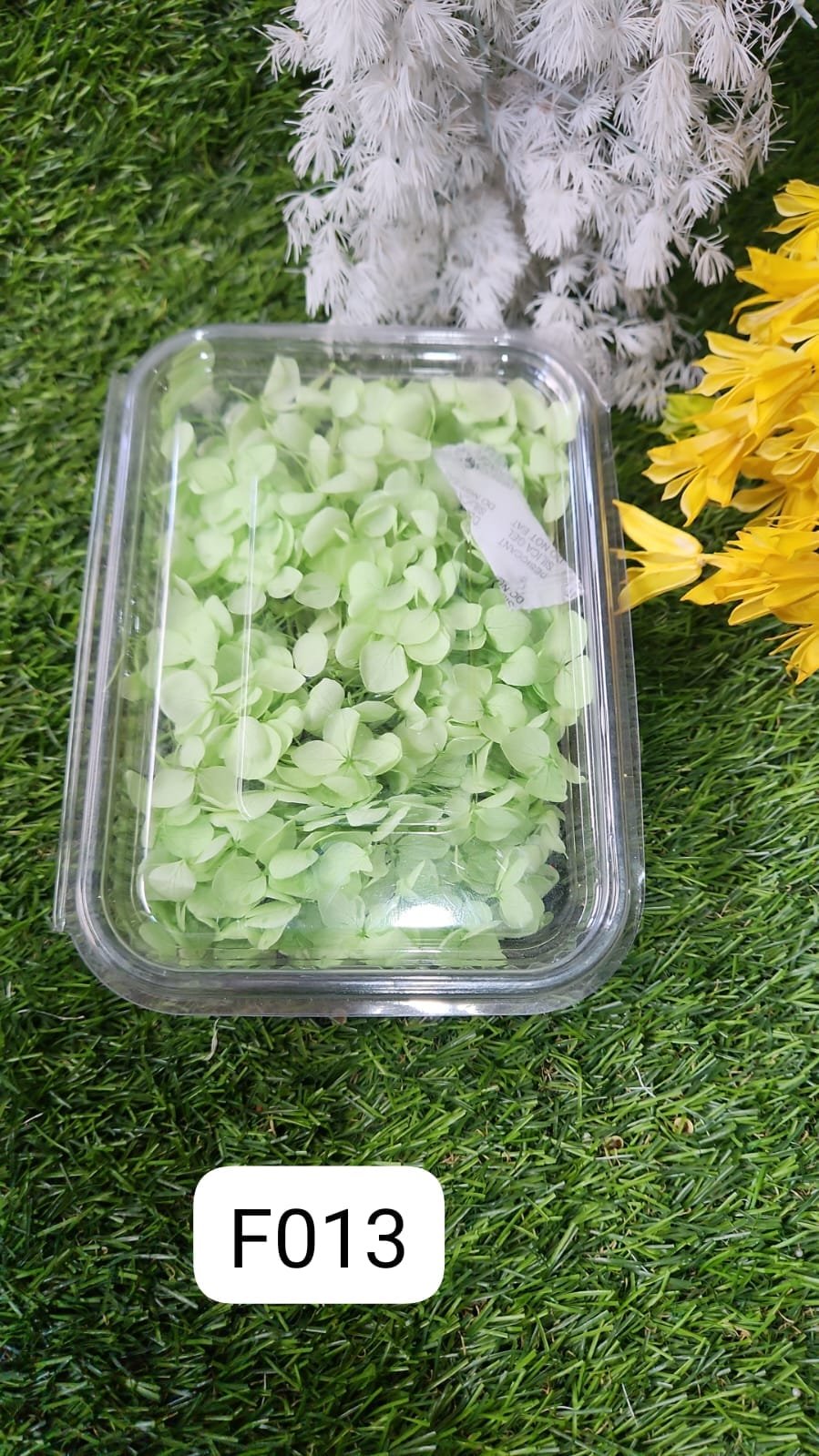 WhatsApp Image 2024-10-19 at 6.14.56 PM (2) HYDRA FLOWERS PISTA GREEN SNE Min. Qty. - 12 PCS - Image 1