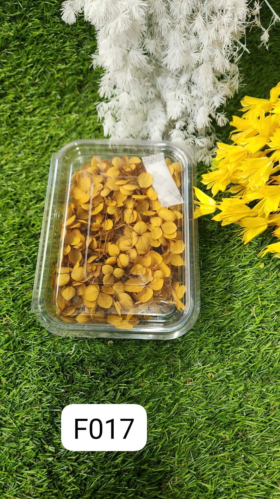 WhatsApp Image 2024-10-19 at 6.14.58 PM (1) HYDRA FLOWERS MUSTRED YELLOW SNE Min. Qty. - 12 PCS. - Image 1