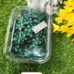 HYDRA FLOWERS GREEN SNE Min. Qty. - 12 PCS.