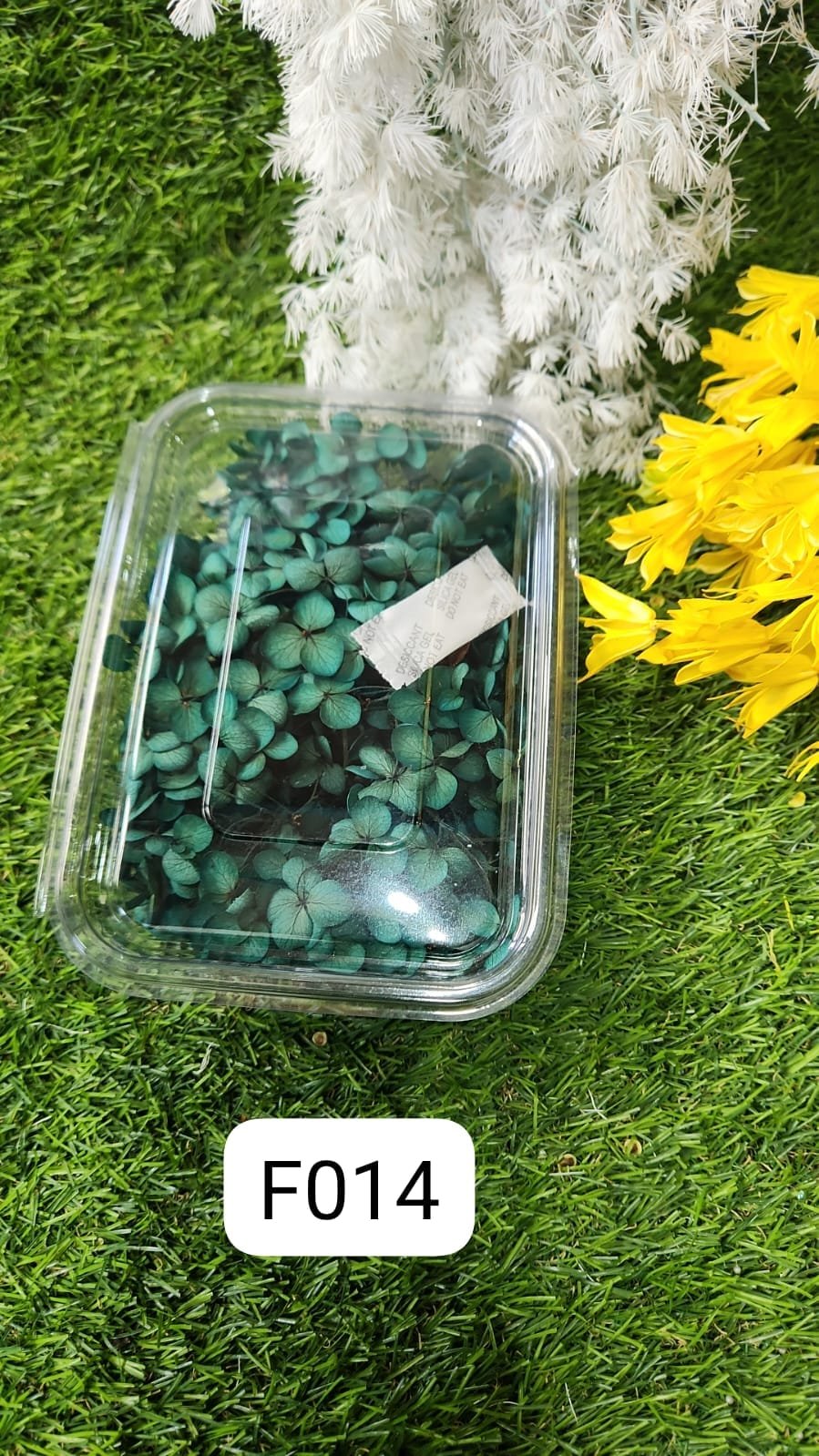 WhatsApp Image 2024-10-19 at 6.14.59 PM HYDRA FLOWERS GREEN SNE Min. Qty. - 12 PCS. - Image 1