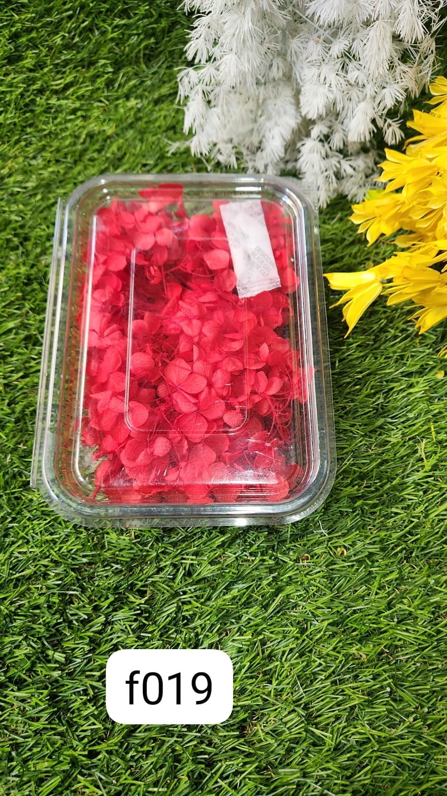 WhatsApp Image 2024-10-19 at 6.15.00 PM HYDRA FLOWERS RED SNE Min. Qty. - 12 PCS. - Image 1