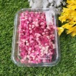 ZIPSSY FLOWERS PINK JO Min. Qty. - 12 PCS.