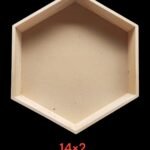WNTL14 D 14 inch hexagone  tray