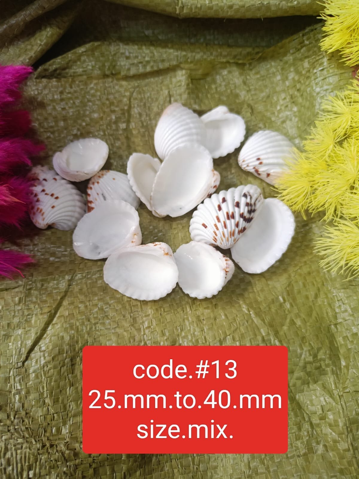 WhatsApp Image 2024-11-16 at 11.20.04 AM shalles#13 1 kg pack - Image 1