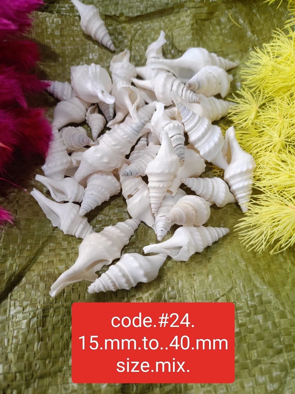 WhatsApp Image 2024-11-16 at 11.20.07 AM (1) shalles#24 1 kg pack - Image 1