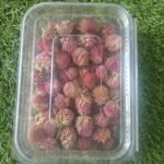 NATURAL FLOWER  light pink QTY-MIN 12PCS