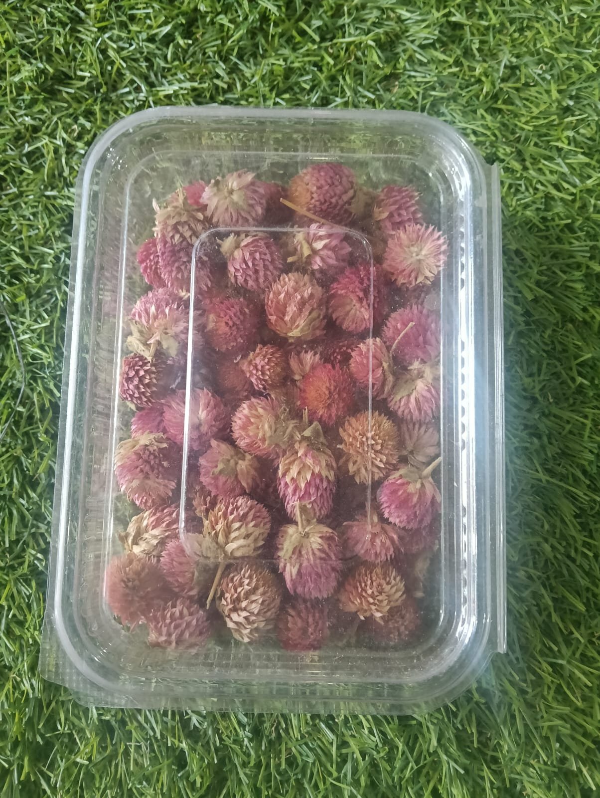 WhatsApp Image 2024-11-18 at 12.13.38 PM (1) NATURAL FLOWER light pink QTY-MIN 12PCS - Image 1