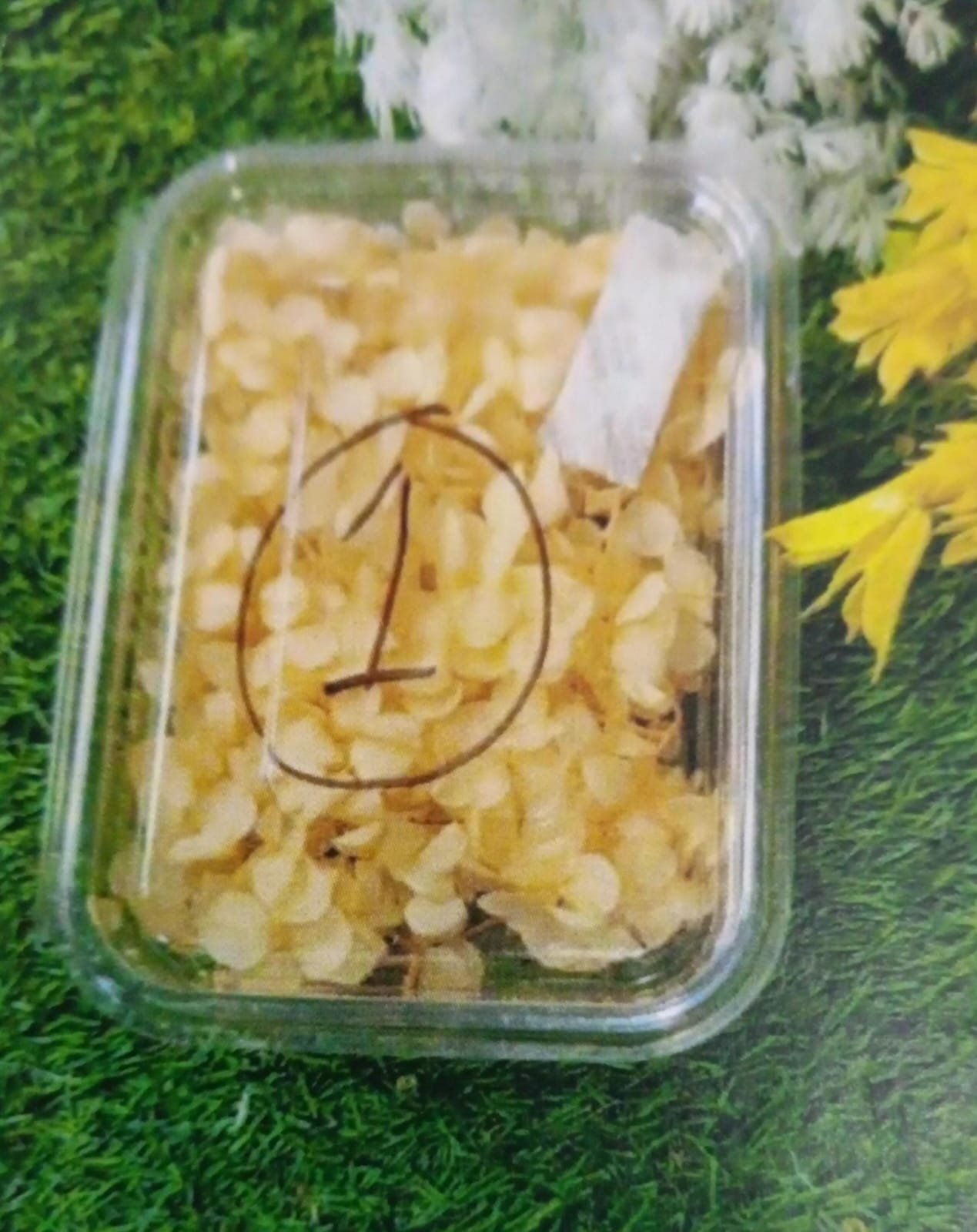 WhatsApp Image 2024-11-21 at 4.13.53 PM Natural Flower Qyt - Mimimum 12pcs Hydra Mango Yellow - Image 1