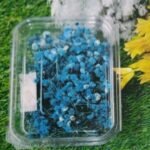 Natural Flower Zippsy Dark Blue Qyt - 12pcs