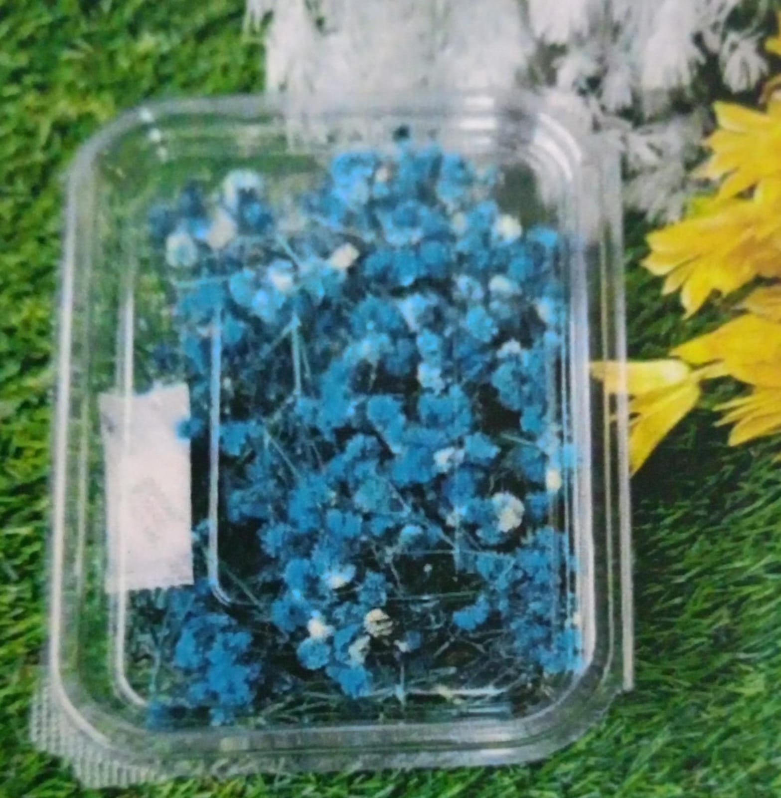 WhatsApp Image 2024-11-21 at 4.23.56 PM Natural Flower Zippsy Dark Blue Qyt - 12pcs - Image 1