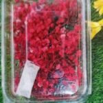 Natural Flower Zipssy Red Qty -12pcs