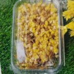 Natural Flower Zipssy Yellow Qty mimimum  -12pcs