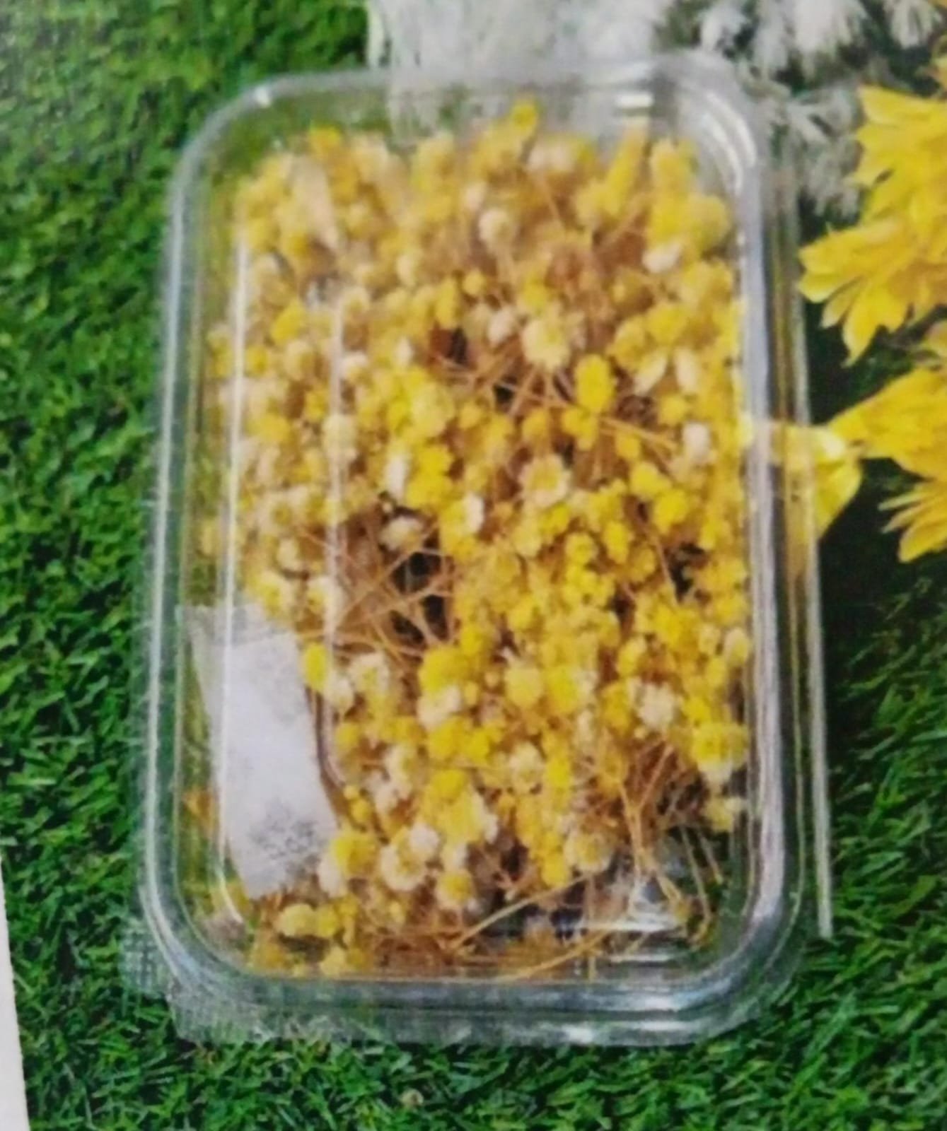 WhatsApp Image 2024-11-21 at 4.40.52 PM Natural Flower Zipssy Yellow Qty mimimum -12pcs - Image 1
