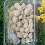 Natural flower off white QTY-min 12 pcs