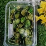 Natural flower green QTY-MIN 12 PCS
