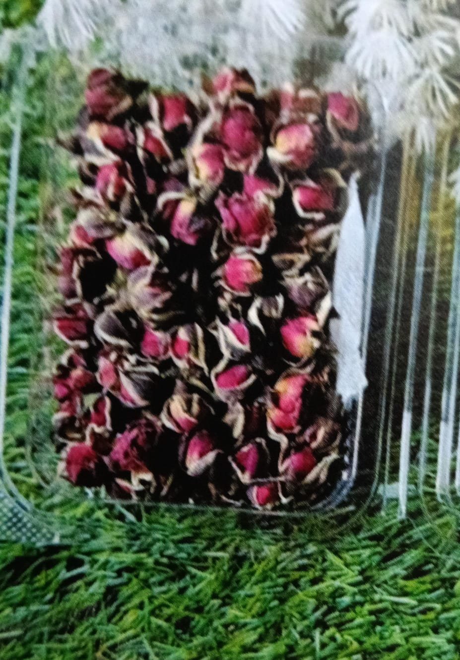WhatsApp Image 2024-11-21 at 5.15.38 PM Natural flower small buds red QTY-min 12 pcs - Image 1