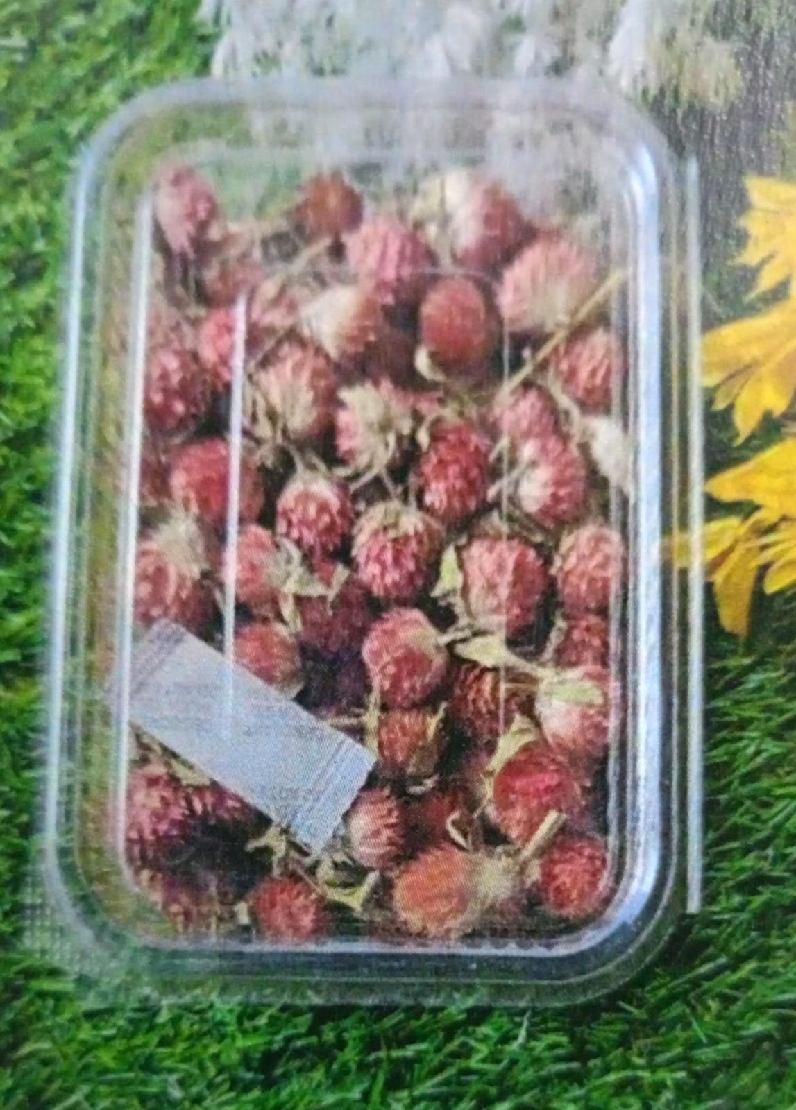 WhatsApp Image 2024-11-21 at 5.34.01 PM Natural flower red QTY-min 12 pcs - Image 1