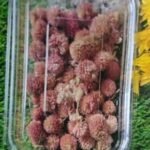 Natural flower light red QTY-min 12 pcs