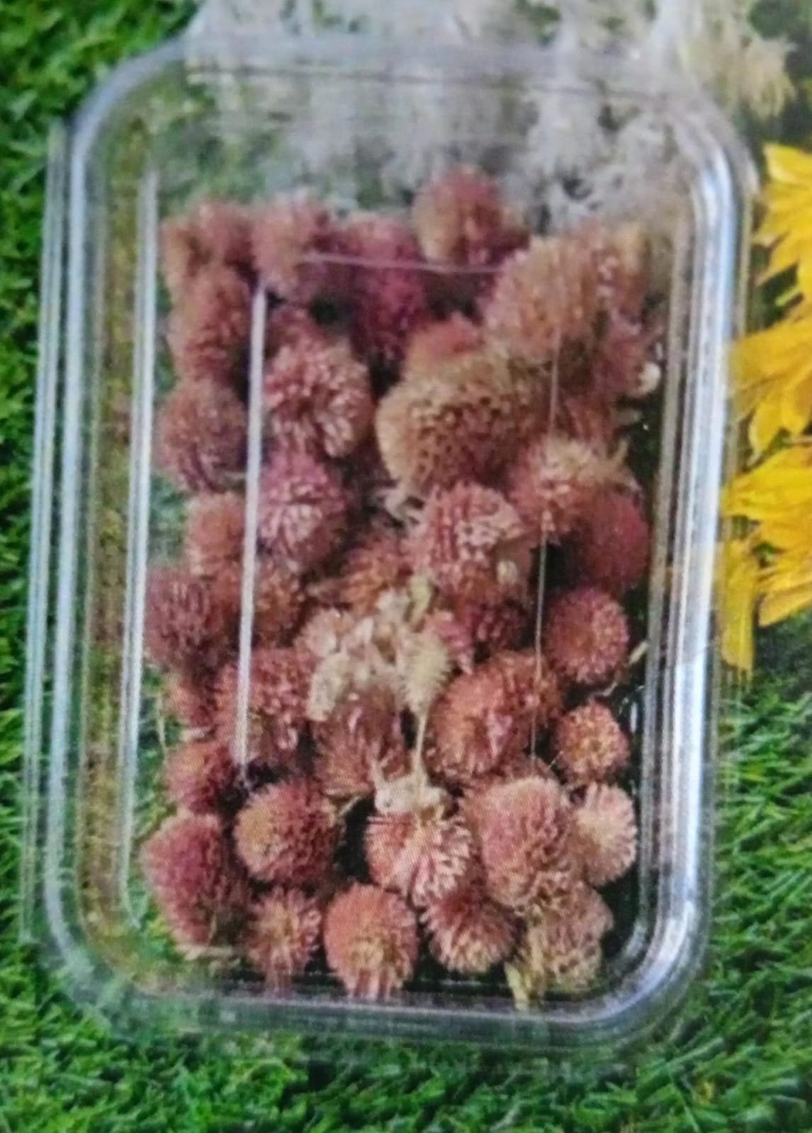 WhatsApp Image 2024-11-21 at 5.34.32 PM Natural flower light red QTY-min 12 pcs - Image 1