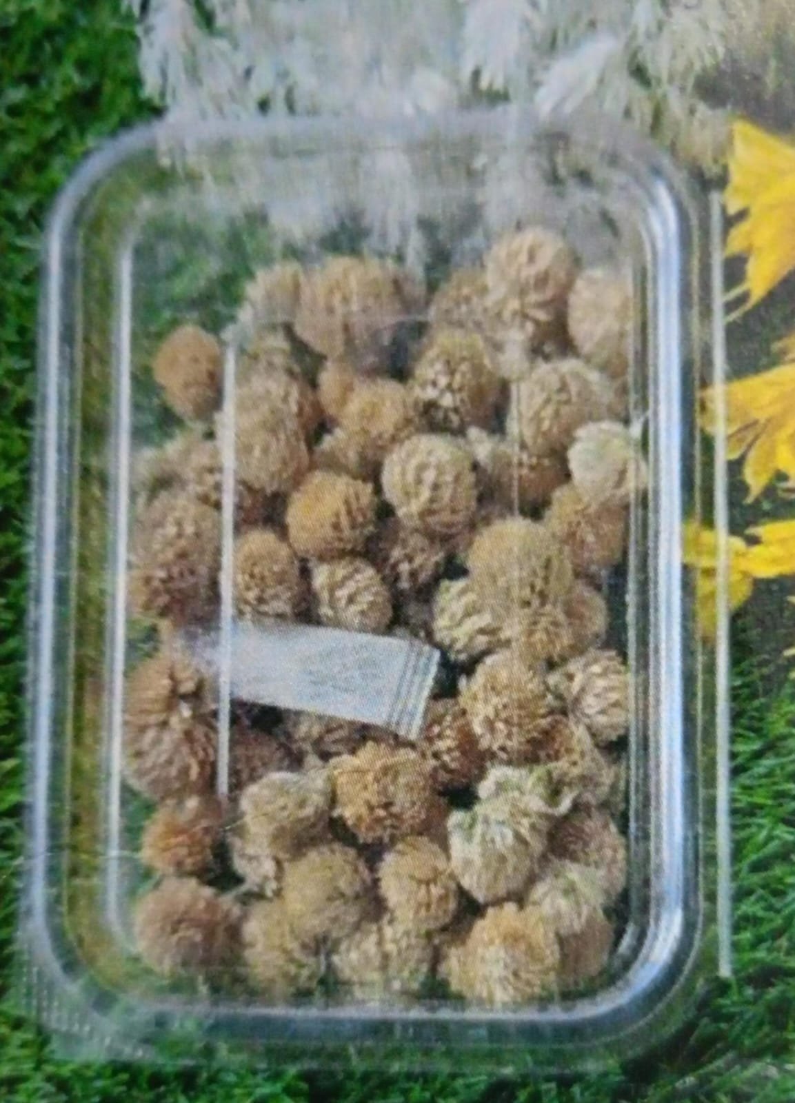 WhatsApp Image 2024-11-21 at 5.34.46 PM Natural flower cream colour QTY-min 12 pcs - Image 1