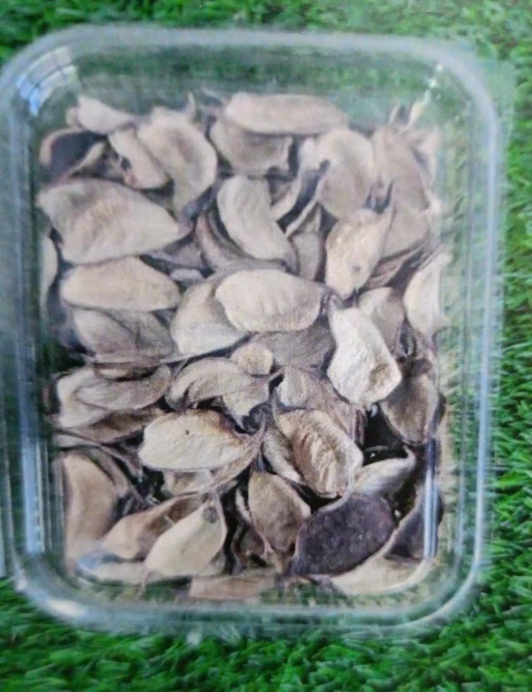 WhatsApp Image 2024-11-21 at 5.50.08 PM Natural flower cotton chips QTY-min 12 pcs - Image 1