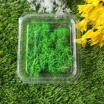 GREEN Moss Dark Green  Min Qty 12pcs..EO.