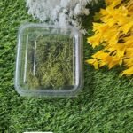 Green Moss Olive Green MIN qty 12pcs..EO.