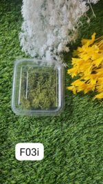 Green Moss Olive Green MIN qty 12pcs..EO.