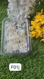 Natural flower baby brith white QTY-min 12 pcs - Image 2