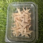 Midium size star fish sea shell 10 pcs per box