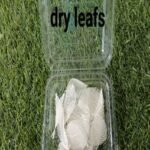 Dry Leaf  WHITE colour 25 Pcs 1box