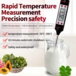 Rapid Temperature thermometer