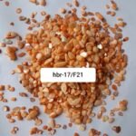 HBR17-F/21 Nucleous stone