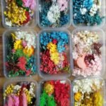 dry flower mix box